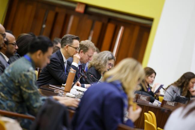 Delegates during the council meeting 