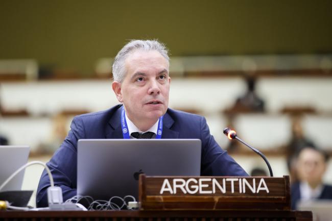 Marcelo Balbi Calvo, Argentina