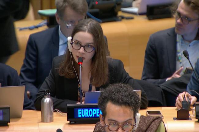 Representative from the EU