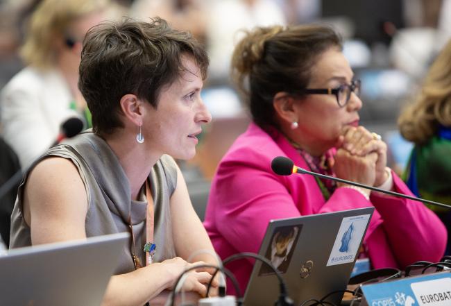 EUROBATS Executive Secretary Zrinka Domazetović - CMS COP15 - 23Mar2026