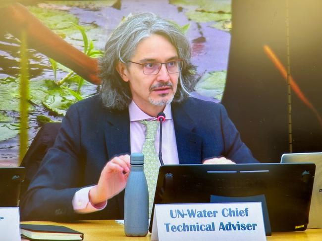 Federico Properzi, UN-Water Chief Technical Adviser