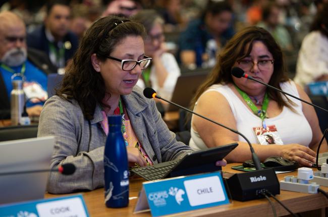 Fernanda Vila, Chile - CMS COP15 - 27Mar2026