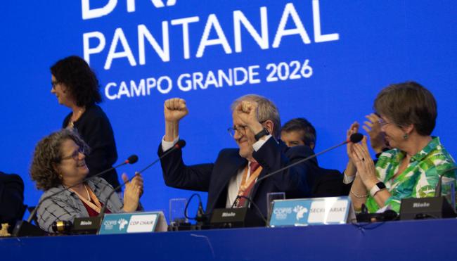 Final-  CMS COP15 - 29Mar2026