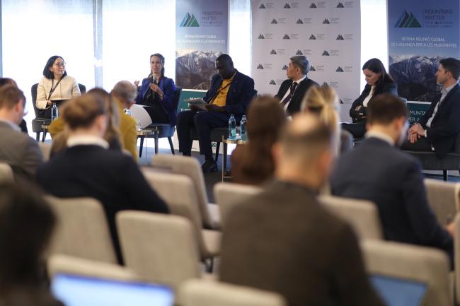 Saskia Sanders, Senior Policy Advisor for Sustainable Food Systems, Federal Office for Agriculture, Switzerland, addresses participants during the panel on Fostering Change in Mountains – Building Livelihoods, Agrifood Systems and Economies
