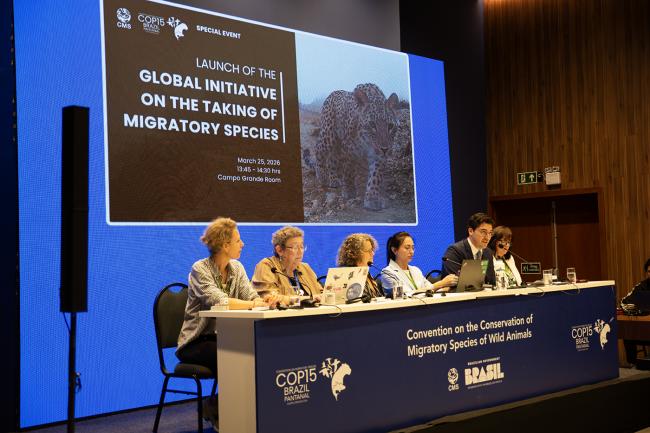 Global Initiatives on Taking Migratory Species - CMS COP15 - 25Mar2026.