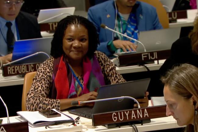 Delegate from Guyana