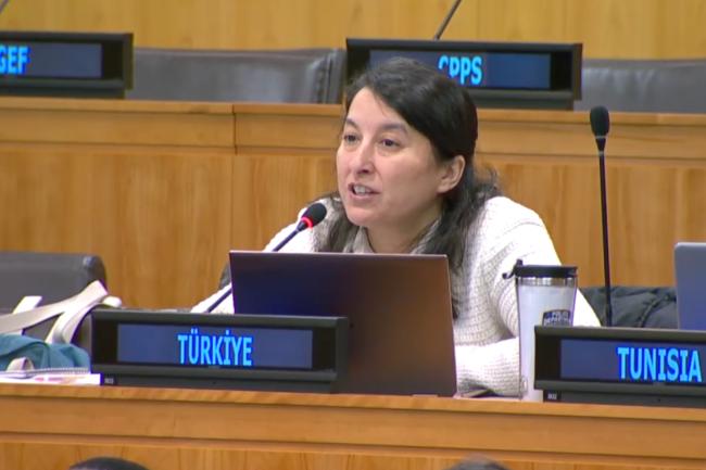 Hatice Şahin, Türkiye