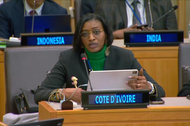 Horokia Mockey Nee Coulibaly, Côte d'Ivoire, on behalf of the African Group