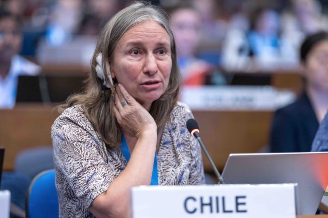 Maritza Jadrijevic, Chile