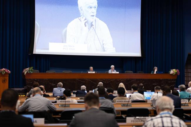 A view of the room during a plenary session. 