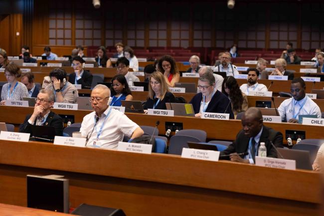 A view of the room during the plenary session