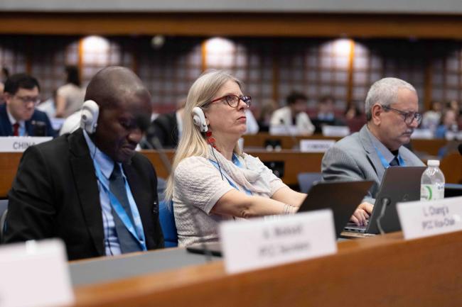 Diana Ürge-Vorsatz, IPCC Vice-Chair (middle) 