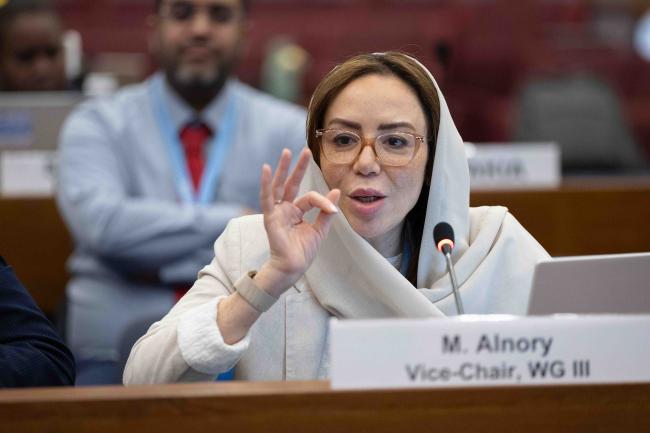 Malak Al-Nory, Vice-Chair, Working Group III 