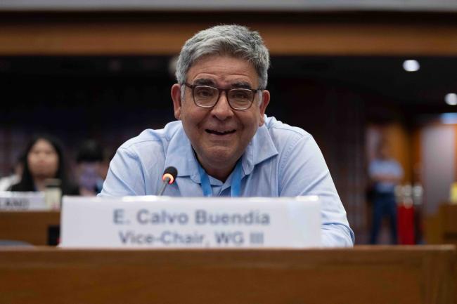 Eduardo Calvo Buendía, Vice-Chair, Working Group III 