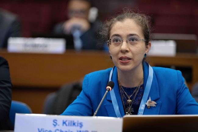 Şiir Kılkış, Vice-Chair, Working Group III 