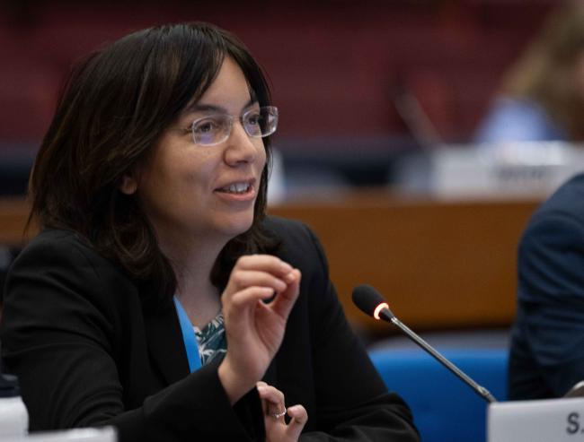 Sonia Seneviratne, Vice-Chair, Working Group I 