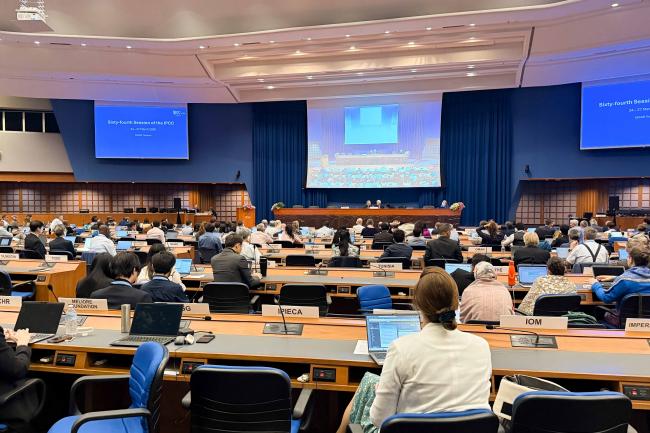 A view of the plenary room