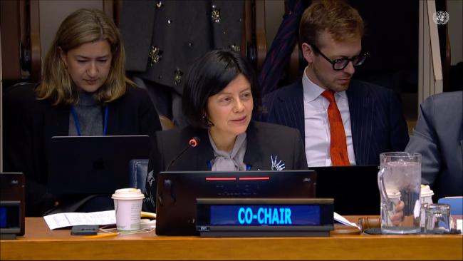 BBNJ PrepCom Co-Chair Janine Coye-Felson, Belize