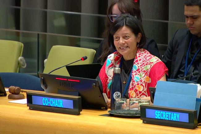 BBNJ PrepCom Co-Chair Janine Coye-Felson, Belize