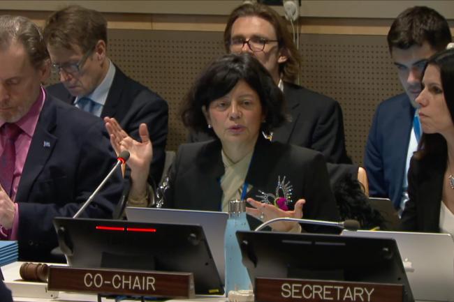 BBNJ PrepCom Co-Chair Janine Coye-Felson, Belize