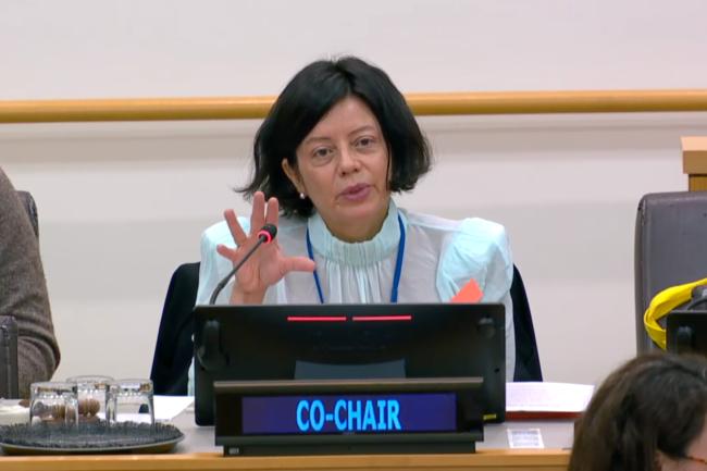 BBNJ PrepCom Co-Chair Janine Coye-Felson, Belize