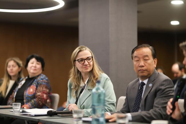 Julia Wolf, Coordinator, Mountain Partnership Secretariat