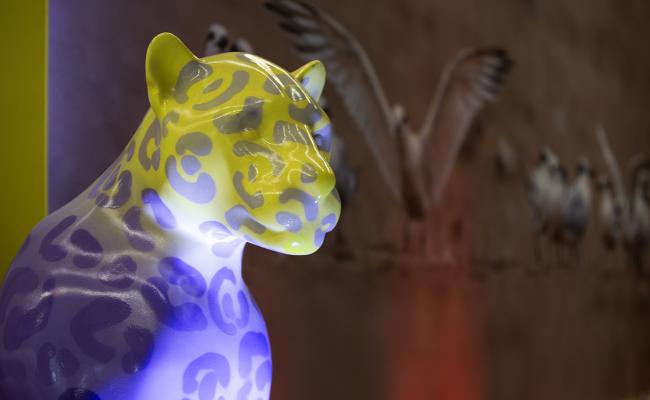 Leopard - CMS COP15 - 26Mar2026