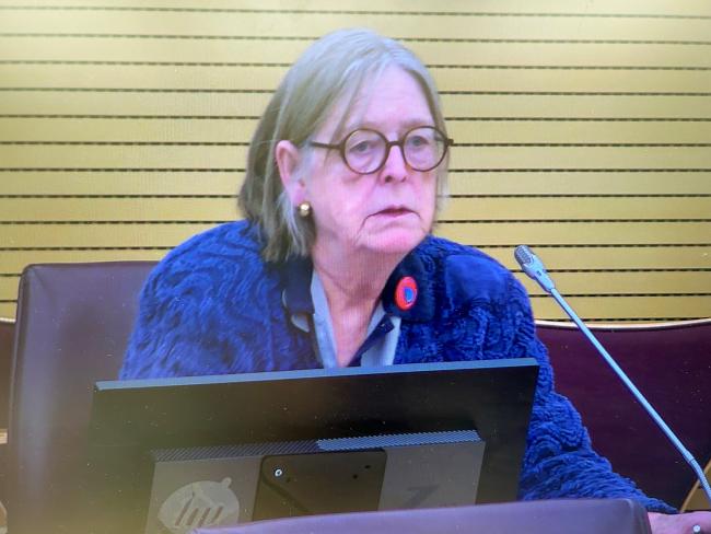 Lesha Witmer, Human Right to Water
