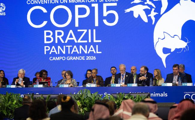 Marina Silva - CMS COP15 - 23Mar2026