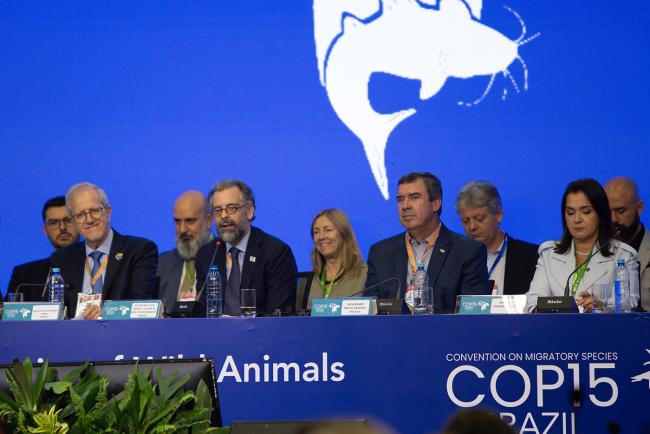 Mauricio Lyrio, Secretary for Energy, Climate and Environment, Brazil - CMS COP15 - 23Mar2026