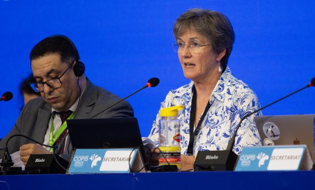 Melanie Virtue, CMS Secretariat- CMS COP15 - 23Mar2026