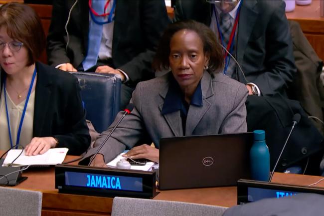 Michelle Walker, Jamaica, on behalf of the Caribbean Community (CARICOM)