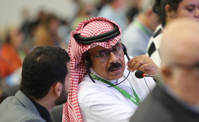 Mohammed Shobrak, Saudi Arabia - CMS COP15 - 26Mar2026
