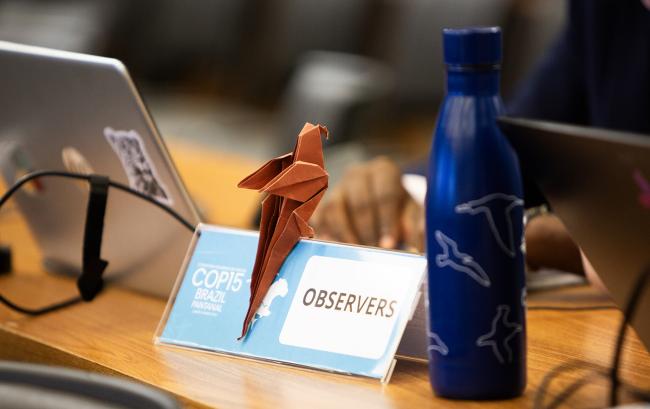 Observers - CMS COP15 - 25Mar2026