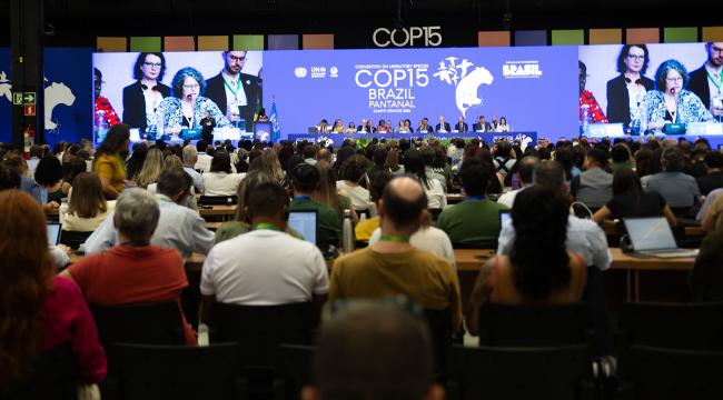 Opening Amy Fraenkel, CMS Executive Secretary - CMS COP15 - 23Mar2026