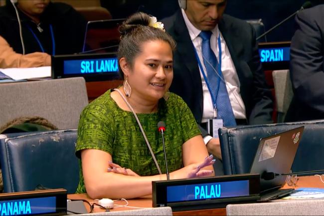 Representative from Palau on behalf of the Alliance of Small Island States (AOSIS)