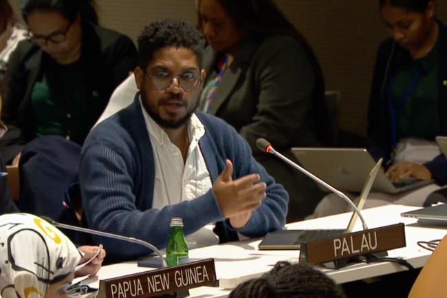 Representative from Palau