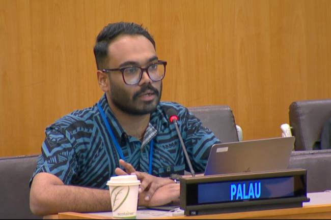 Representative from Palau