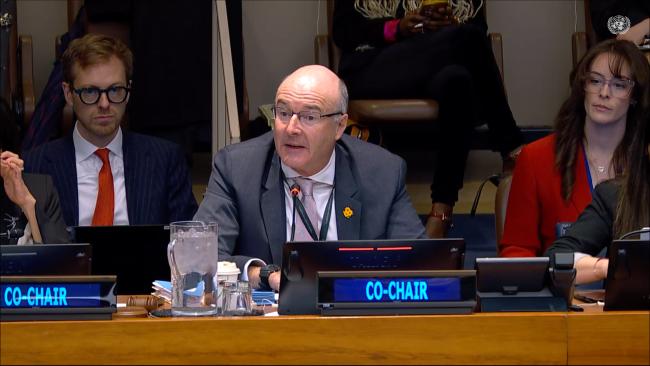 PrepCom Co-Chair Adam McCarthy, Australia