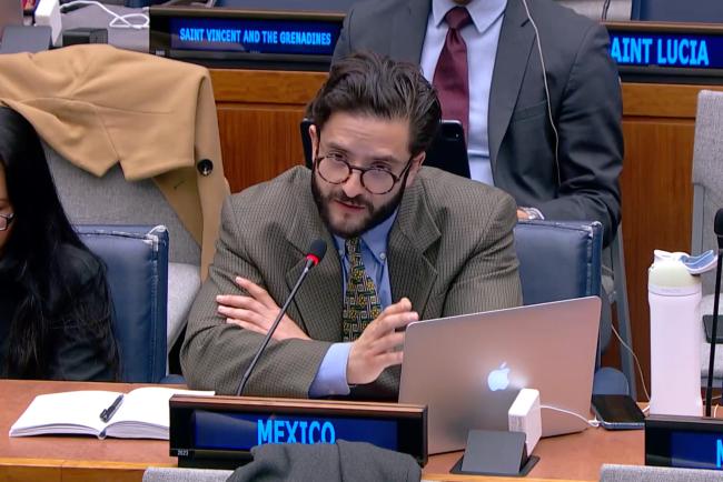 Representative from Mexico