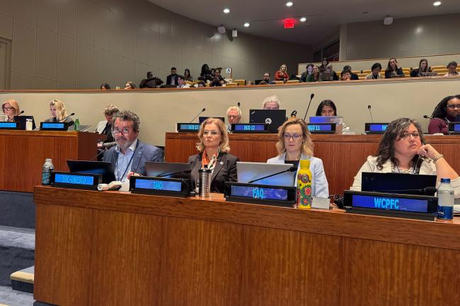 Representatives from IOC-UNESCO, IMO, FAO, and WCPFC