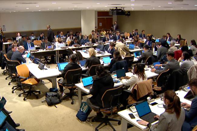 Delegations during the session on the Rules of Procedure for the Conference of the Parties