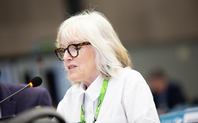 Ruth Cromie, COP-Appointed Councillor - CMS COP15 - 26Mar2026