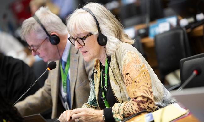 Ruth Cromie, COP-Appointed Councillor - CMS COP15 - 27Mar2026