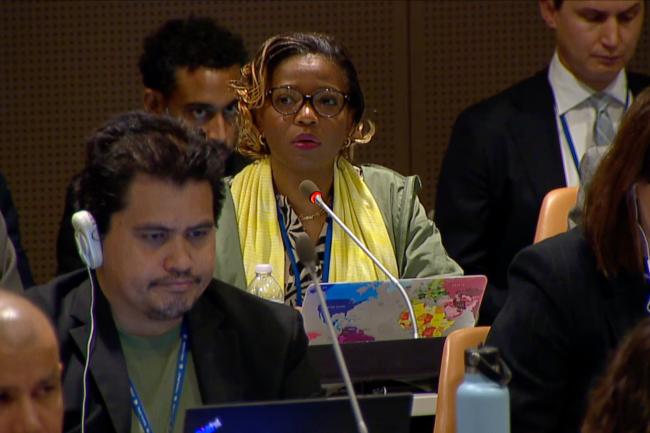 Representative from Saint Kitts and Nevis on behalf of the Caribbean Community (CARICOM)