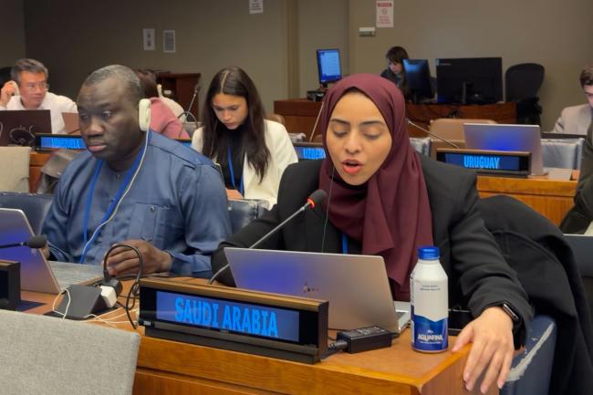 Representative from Saudi Arabia
