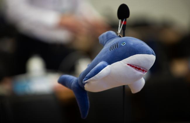 Shark - CMS COP15 - 24Mar2026