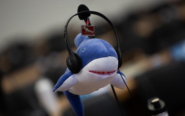Shark- CMS COP15 - 29Mar2026
