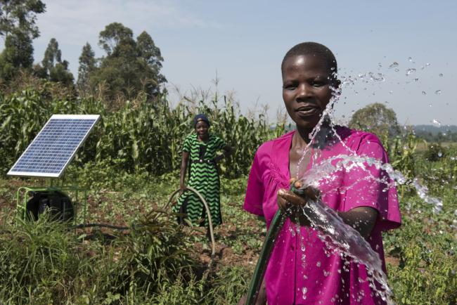 Solar powered irrigation