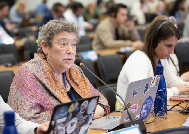 Sue Lieberman, Wildlife Conservation Society- CMS COP15 - 27Mar2026